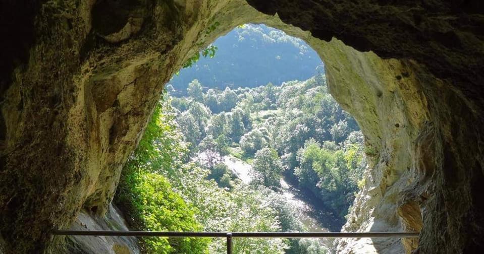 L'Echappee Au Jardin, Yourte Bucolique Godinne Экстерьер фото